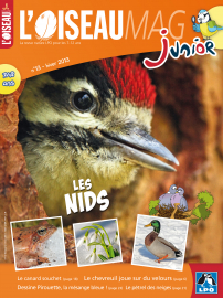 Couverture de l'OISEAU MAG JUNIOR n°13